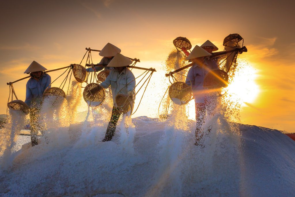 The Art and Science of Salt Making: From Sea to Table